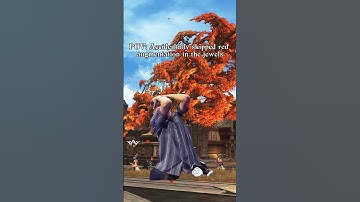 WHY ALWAYS ME?😒 #arcaneworld #lineage2 #l2community #lineage2main #mmorpg #lineage2classic #l2h5