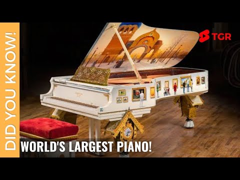 World S Largest Piano Size Of A Largest Piano ShortVideo 090