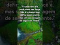 #relaxar #músicarelaxante #leidaatração #frasemotivacao #relax #motivacional #motivar #gratidão