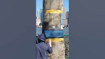 How to Draw - NYC Invisible Tree Trunk 3D Illusion Art #shorts