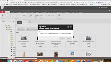 Create a news item in Sitecore (wellington.govt.nz)
