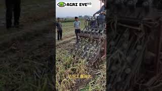 Garlic Harvester Machine ! Modern Agriculture jugaad #shots #Diy