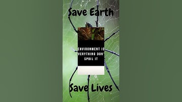 World Environment Day June 5th 2021 (WhatsApp status video)