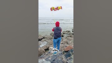 🐬 Câu Cá Biển Cần Giờ #shorts