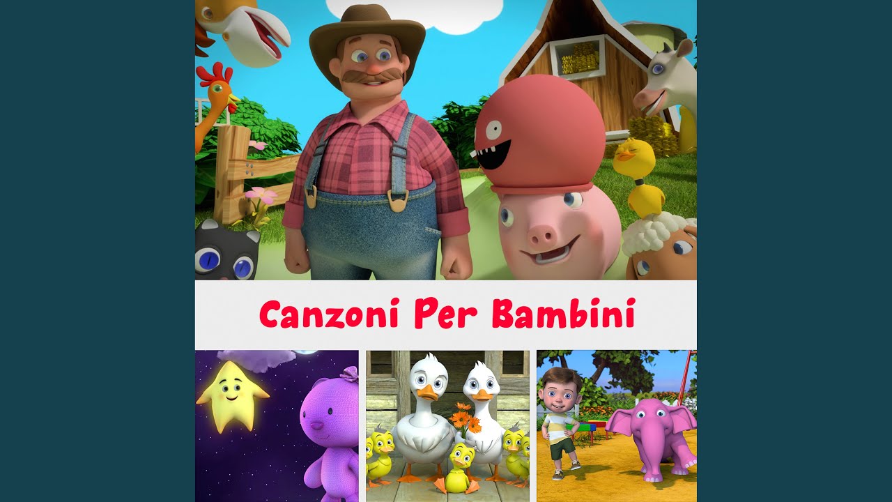 testa spalle gambe e pie