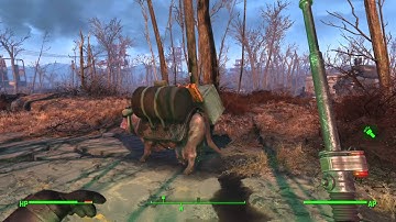 Fallout 4 - Idiot