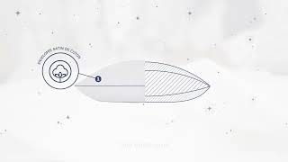 Drouault Présente Son Oreiller Nuit De Rêve À La Française