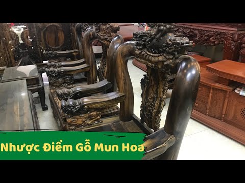 Video: Gỗ Mun Nhật Bản