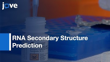 RNA Secondary Structure Prediction By High-Throughput SHAPE l Protocol Preview