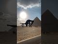 Backflip With The Pyramids Parkour Backflip Pyramids Egypt Sports Hiphop Breakdance mp3