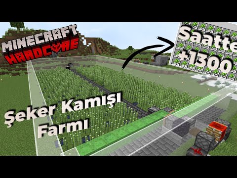 Otomatik Şeker Kamışı Farmı Saatte +1300 - Minecraft Hardcore 1.19.2 - Bölüm 22