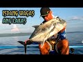 ISDANG WAGAS ANG LAKAS | GIANT TREVALLY | SHOUT OUT
