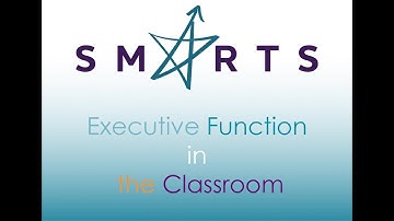 Executive Function in the Classroom: Practical Strategies for Students and Teachers