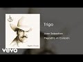 Joan Sebastian - Trigo (Audio)