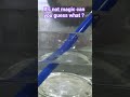Magic of Science refraction of light#science experiment#physics# refraction of light