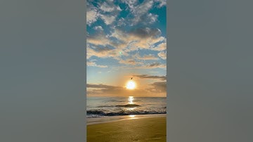 Relaxing Video of a Sunrise Beach #shorts