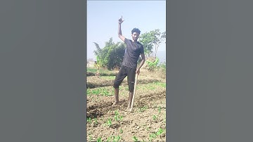 haryane ka jaat (slowed+reverbedmai  #hiphop #punjabisong#motivationsadstatus