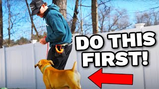 The First Thing I Taught My New Puppy!  How To Train A Puppy Ep 1