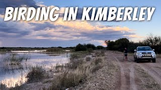 Birding in and around Kimberley!