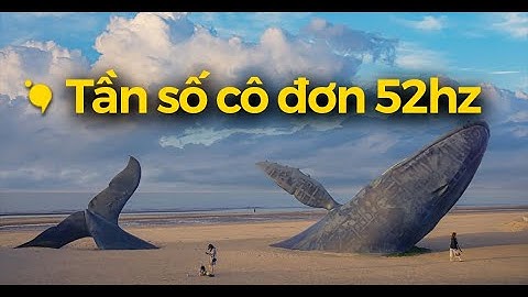 Misfit - Kẻ lạc loài và âm thanh 52 Hz không được đáp lại