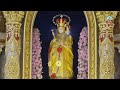  live  10 may 2024  vailankanni shrine basilica