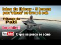 Pesca con tarros en 5 bocas ibicuy - pesca de costa y acampe en las islas - pati frito receta