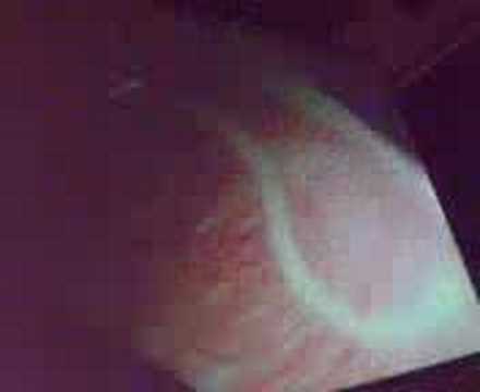 Zach Lieberman and Theo Watson @ OFFF