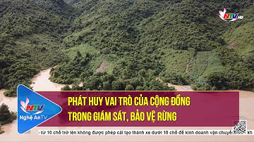 Phát huy vai trò của cộng đồng trong giám sát, bảo vệ rừng