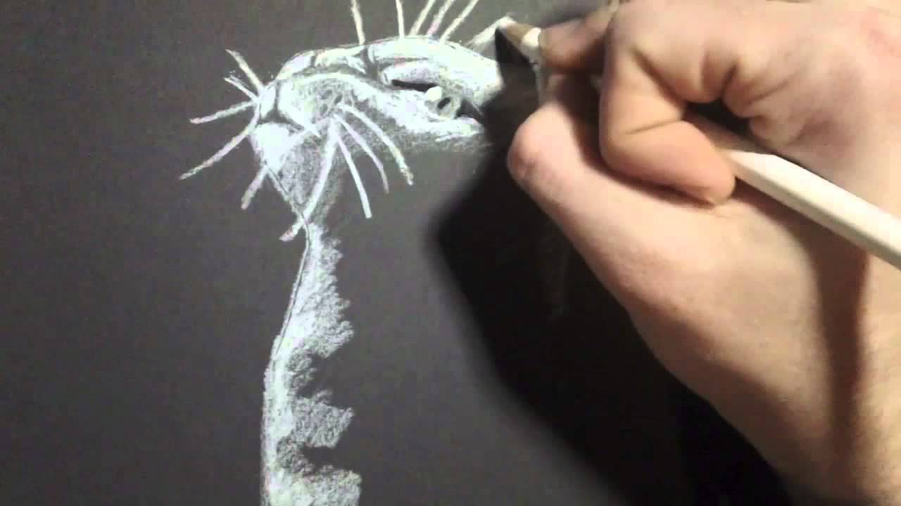Cat Drawing on Black Paper - (Time Lapse) (Jellie) - YouTube