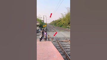 Monkey is running, train, face-to-face crossing dangerous scene, #shorts ￼￼