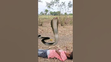 इच्छाधारी नागिन मां और बेटी कहानी🐍🙏#shorts #youtubeshorts #emotional #snake #naagin #nagin #bhakti