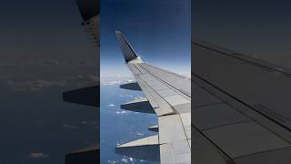 Why Airplanes Have Curved Wingtips