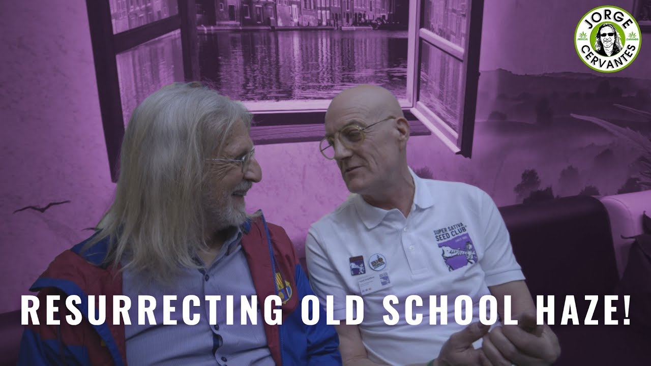 Super Sativa Seed Club resurrect old school haze!