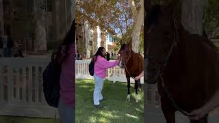 CPP Hot Dog Caper 2024