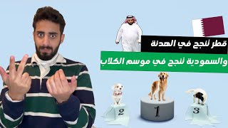 نجاح موسم الكلاب في الرياض والهدنة في قطر