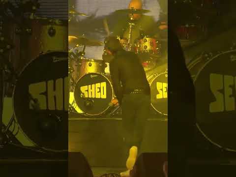 Shed Seven Pack Out LNER Community Stadium & Promise York Return — slide 1