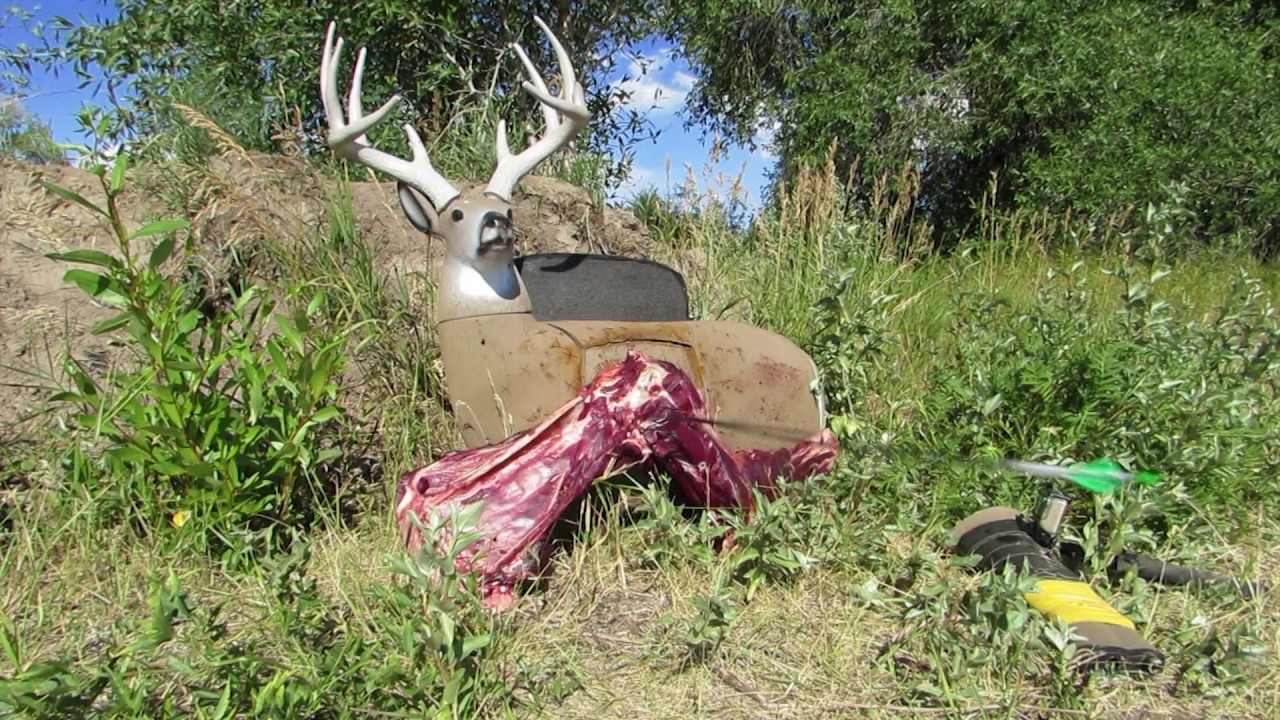 Broadhead VS. Moose shoulder YouTube