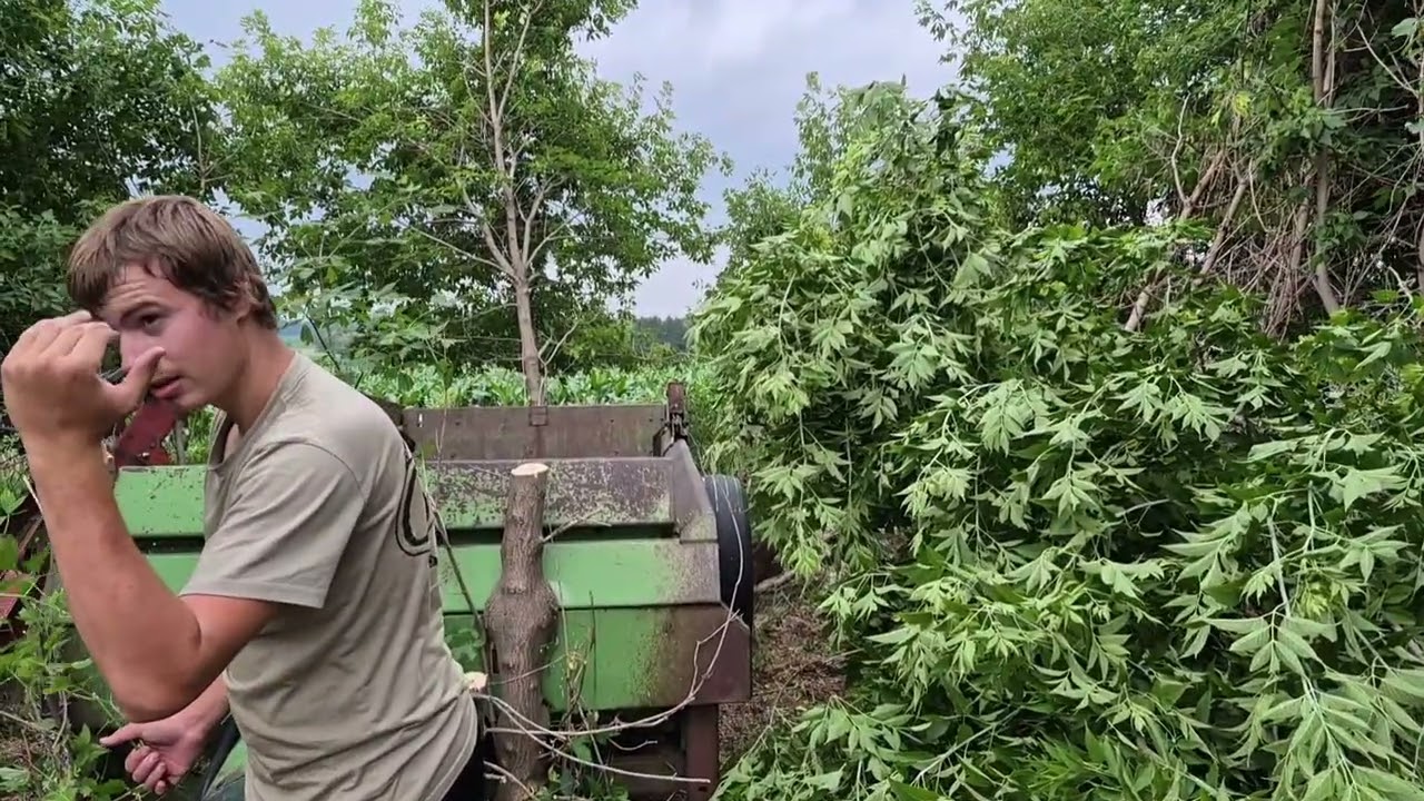 Getting the manure spreader reading for the parade!
