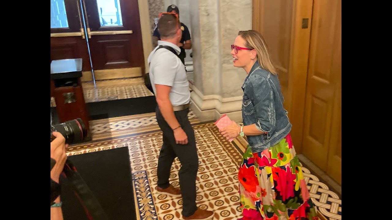 EXCLUSIVE — Sen. Kyrsten Sinema: “There's a UFO conversation?”