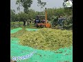আদর্শ ভুট্টার সাইলেজ তৈরির #shortvideos #farming