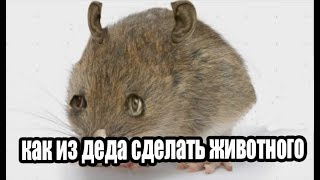 КАК СДЕЛАТЬ ИЗ ГЛАДА ВАЛАКАСА ЖИВОТНОЕ ИЛИ ПРЕДМЕТ? | ФОТОЛУП УРОКИ ОТ ЗЯБЛС #4 КАК СДЕЛАТЬ ИЗ ГЛАДА ВАЛАКАСА ЖИВОТНОЕ ИЛИ ПРЕДМЕТ? | ФОТОЛУП УРОКИ ОТ ЗЯБЛС #4