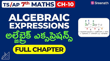 Algebraic Expressions: Full Chapter in తెలుగు | TS/AP Class 7 Maths | Chapter 10 | Sreenath Academy