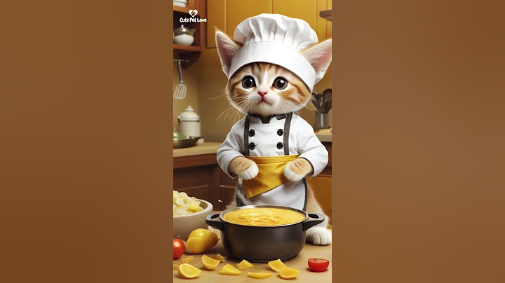 lucky cat😻the famous chef #catmemes#cat#funny#shorts#fyp💖