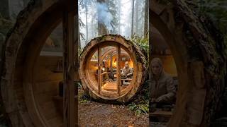 Hidden Hollow Cabin inside giant fallen tree #woodworker #treehouse #survive #homebuilding