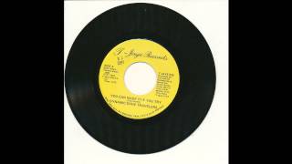 Dynamic Dixie Travelers - You Can Make It If You Try - T-Jaye 526