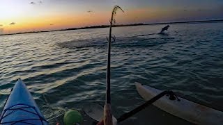Beginners Guide To Catching A Florida Keys Tarpon #5 - Bait Selection By Spot