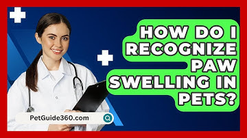 How Do I Recognize Paw Swelling In Pets? - PetGuide360.com