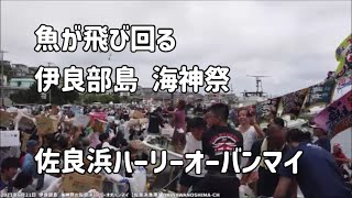 伊良部島海神祭の佐良浜ハーリー オーバンマイ：2023年6月21日【佐良浜港】魚が飛び回る