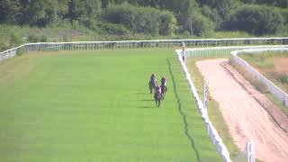 Ponnylopp 3 JOCKEYKLUBBEN CUP KAT C