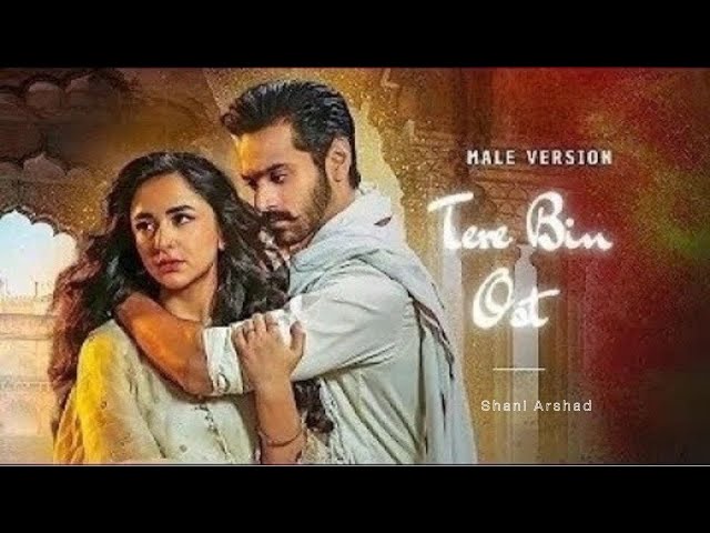 Tere Bin OST 🎶- Lyrics (Urdu u0026 English) - Male Version - Shani Arshad class=